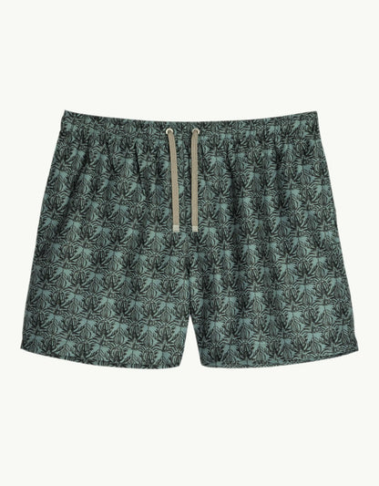 ANSE MID LENGTH